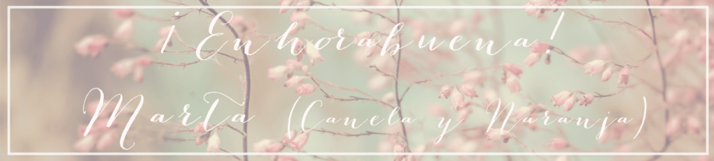 ganadora concurso joaquin torres