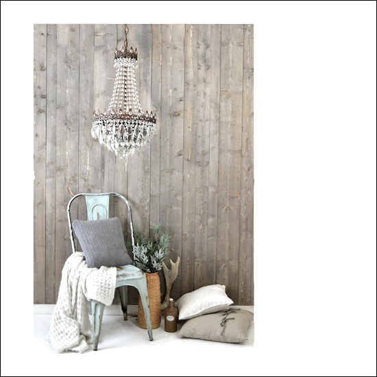 l-fanviste.blogspot.com