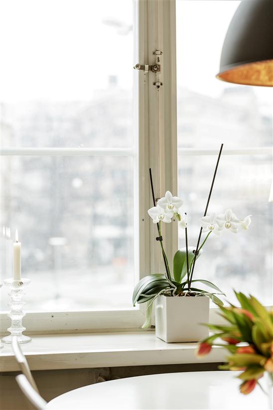 1158549_cache_medium2