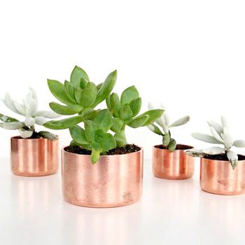 d028428d6e506532376b5b7f20772d96