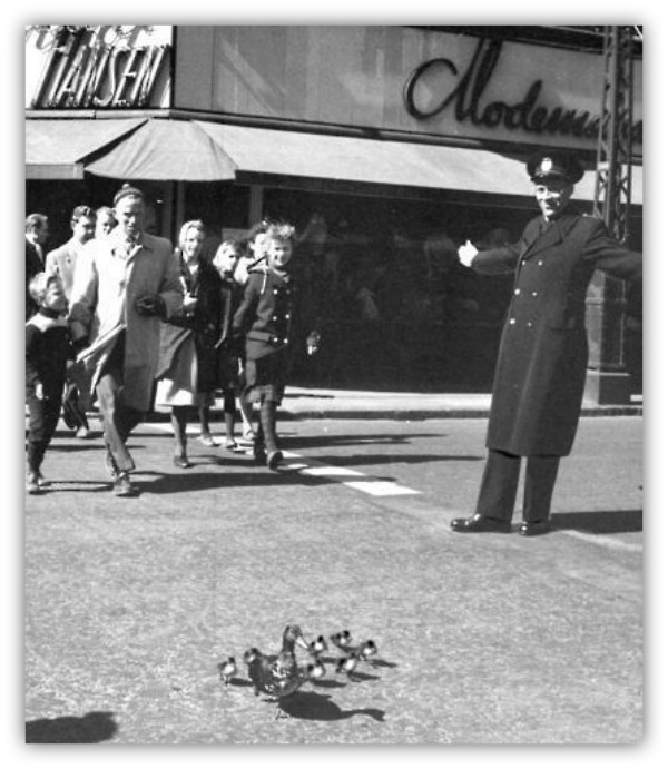 thejujuhat - duck hans bolling