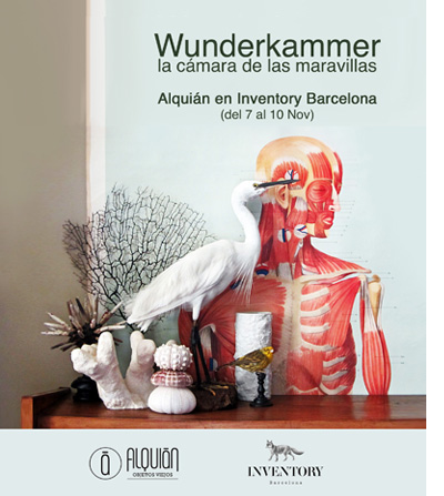 WUNDERKAMMER-modulo-web