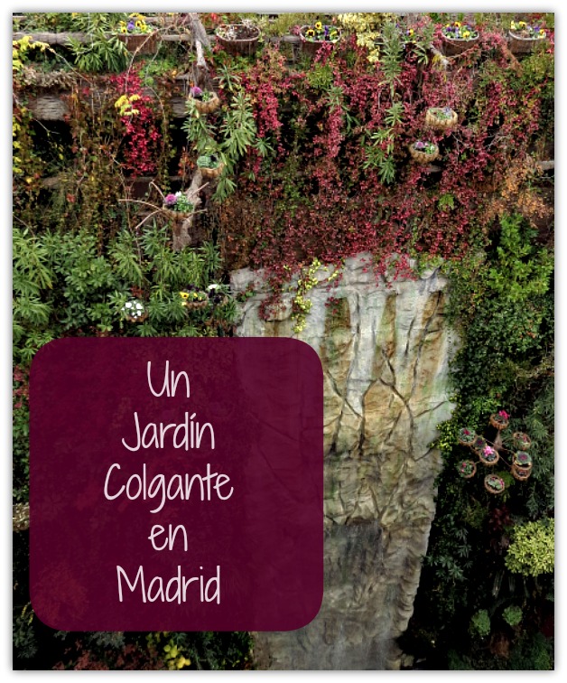 jardin3