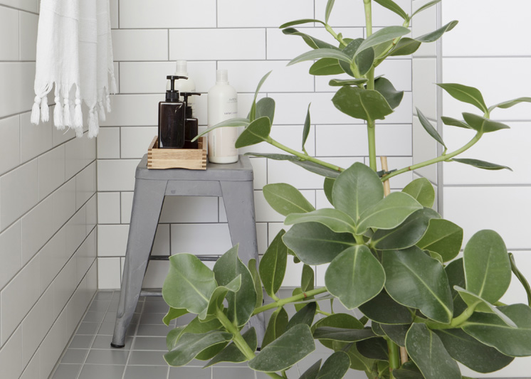 Est-Magazine-Portrait-746x10122-Oink-Select-14