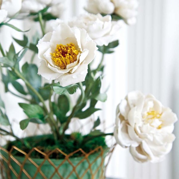 las-esculturas-botanicas-de-vladimir-kanevsky_reference