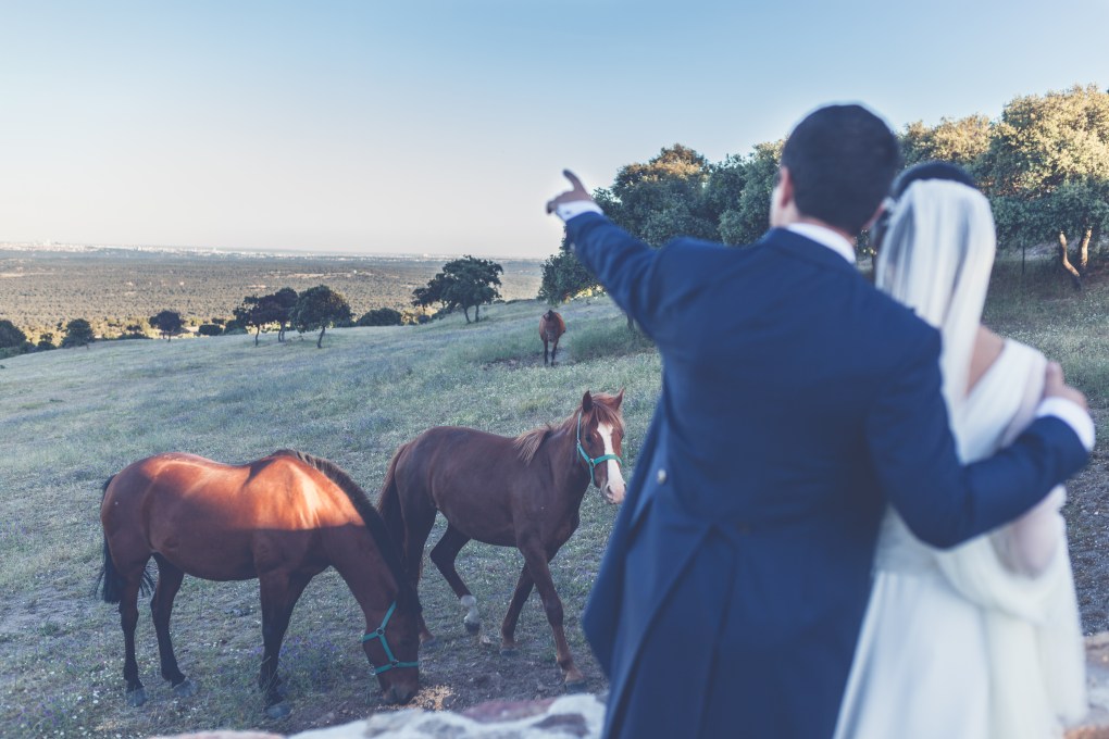 Elena Bau Fotografía