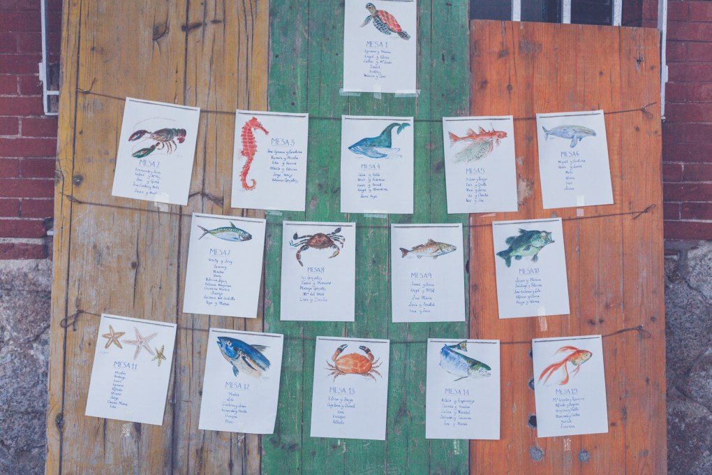 Elena Bau Fotografía