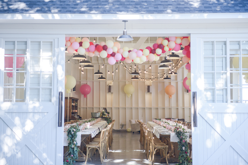 You-and-Lu-Barn-Party